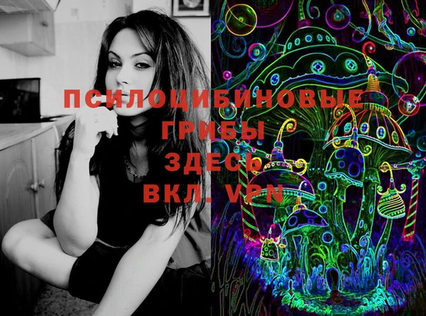 метамфетамин Белокуриха