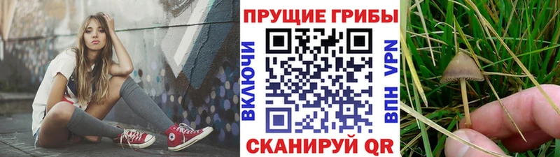 Псилоцибиновые грибы Magic Shrooms Городец